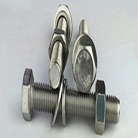 Stainless Steel Bolts